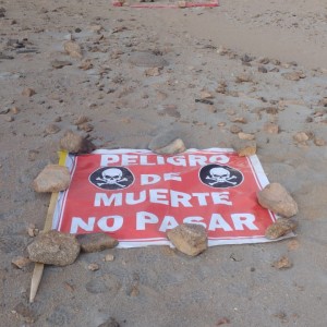 imagen-de-whatsapp-2025-02-04-a-las-19041279950cc0