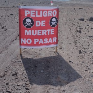 imagen-de-whatsapp-2025-02-04-a-las-19041327300fef